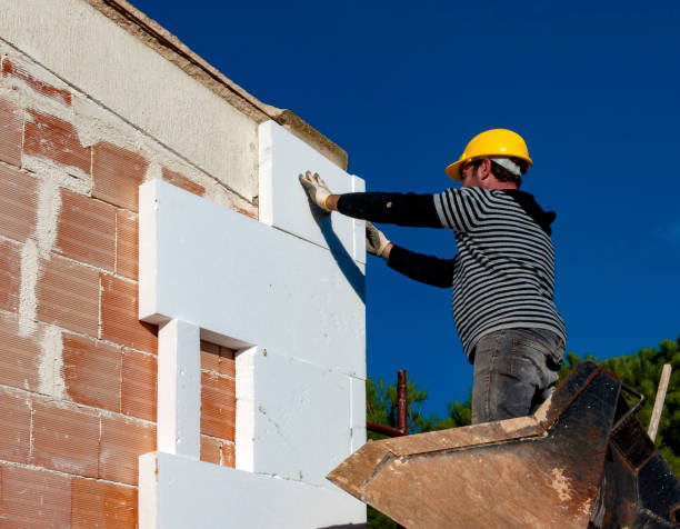 Best Professional Insulation Contractor  in Fremont, CA