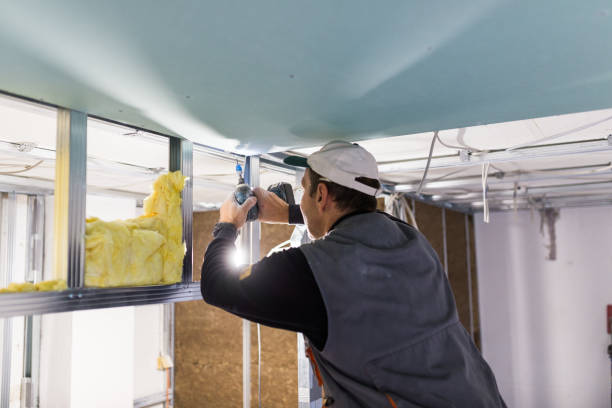Best Best Insulation Companies  in Fremont, CA