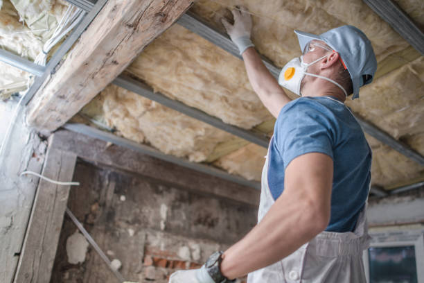 Best Insulation Repair Services  in Fremont, CA