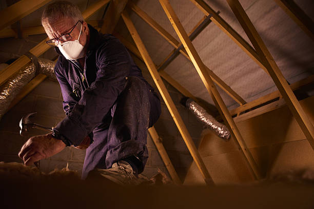 Best Insulation for New Construction  in Fremont, CA