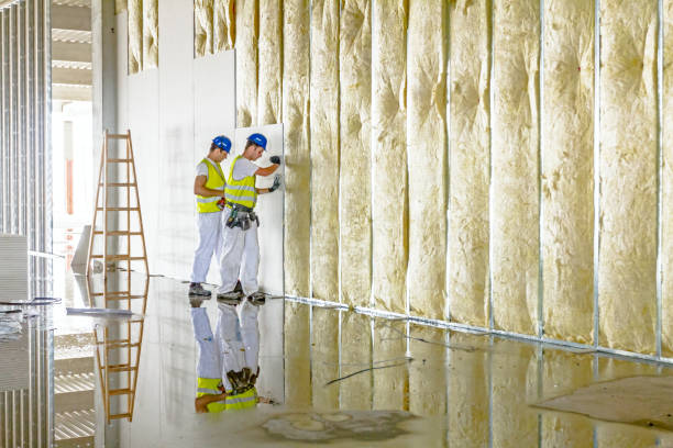 Best Insulation Inspection Services  in Fremont, CA